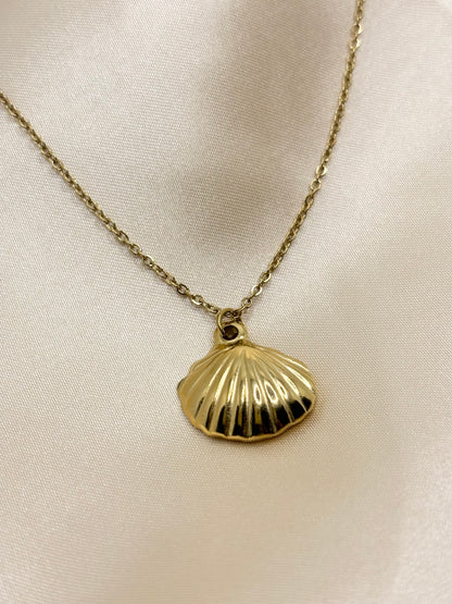 Seashell Necklace & Pendant