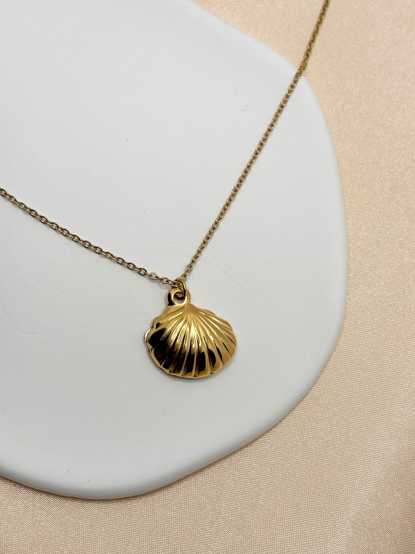 Seashell Necklace & Pendant