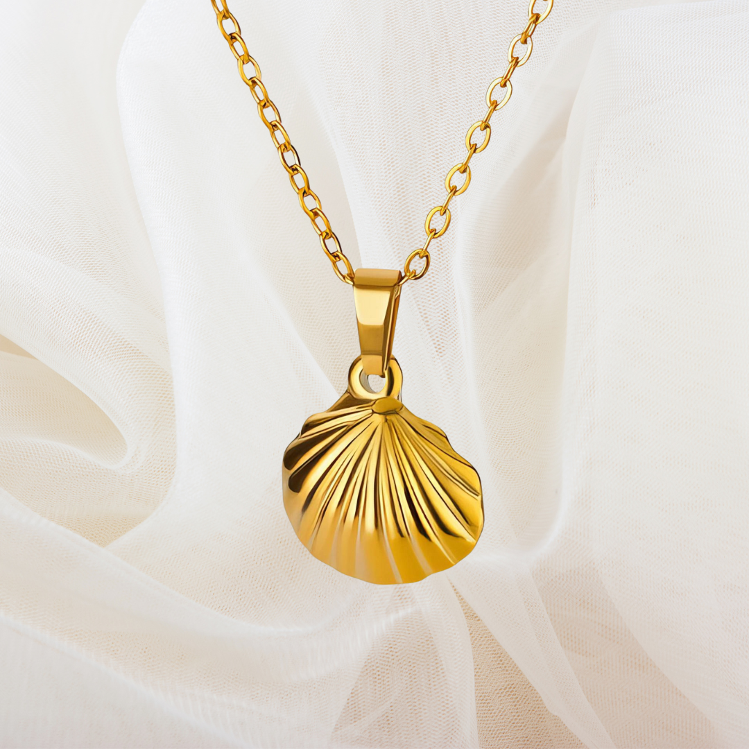 Seashell Necklace & Pendant